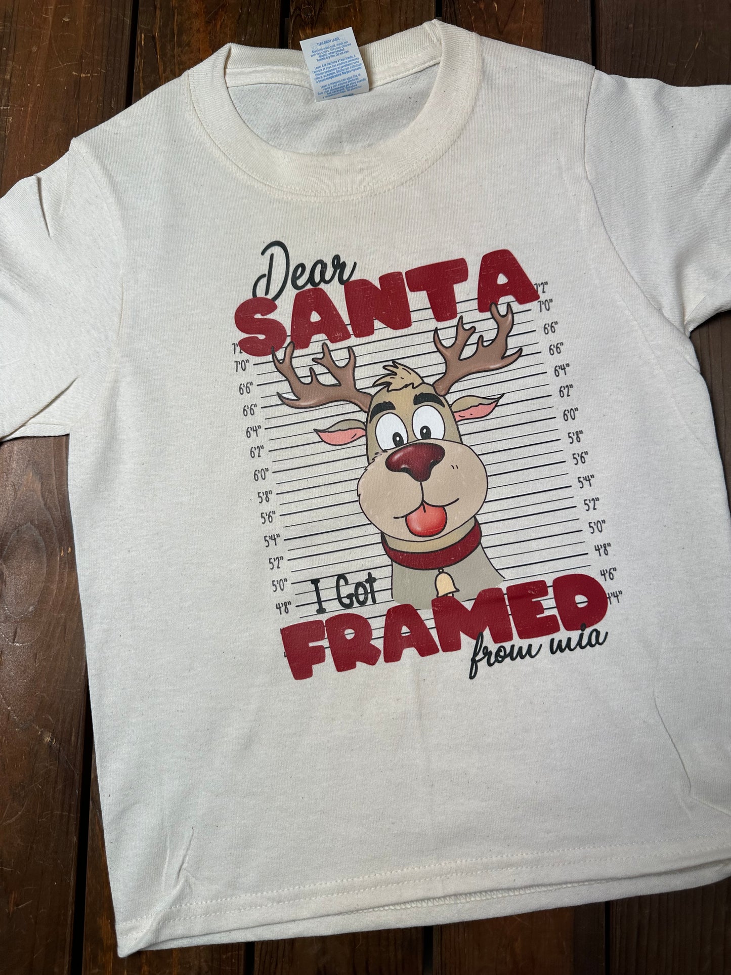 Dear Santa, I Got Framed